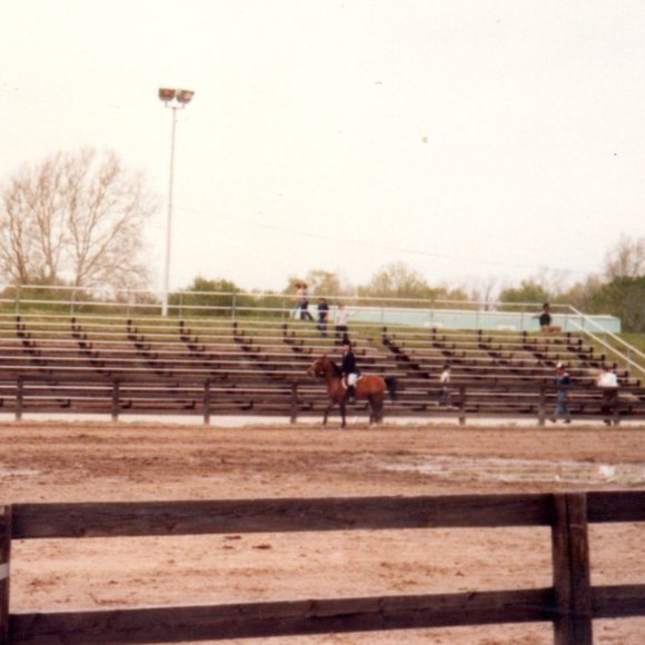 Meet your Posher, Shelly - Picture 10 of 16